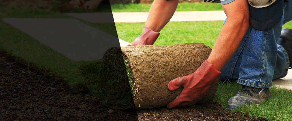Mounds Landscapers